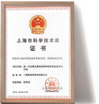 Shanghai Science and Technology Award Special Prize — Launch Vehicle Coating